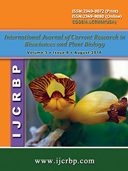 Vol-3-Issue-8